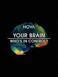 your-brain-control